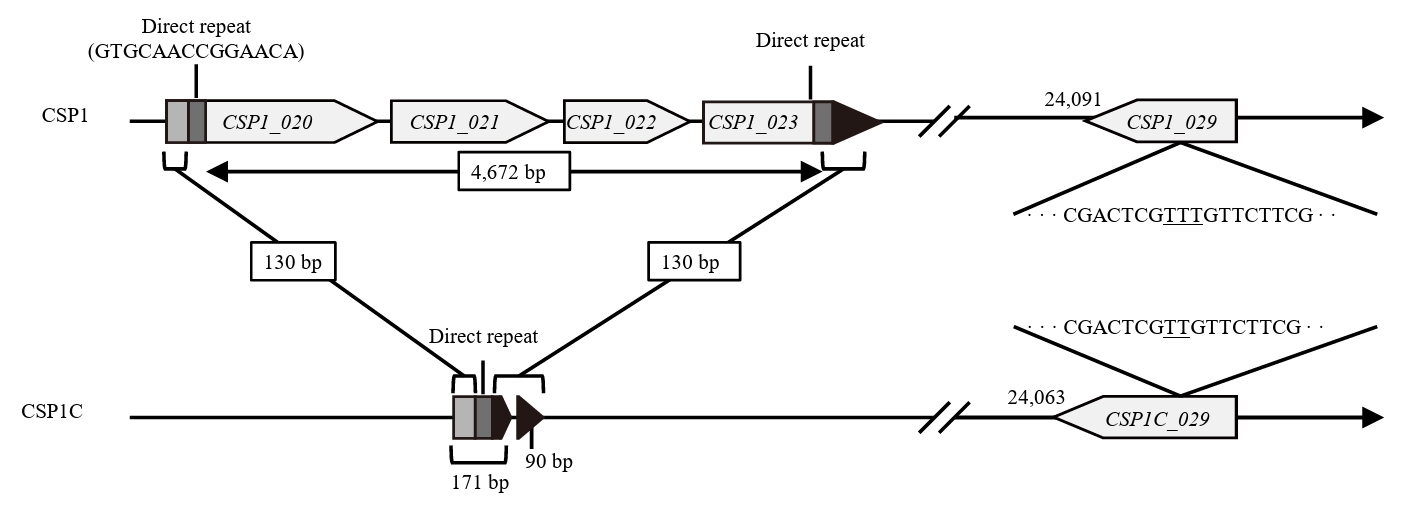 jm-2501013f3.jpg